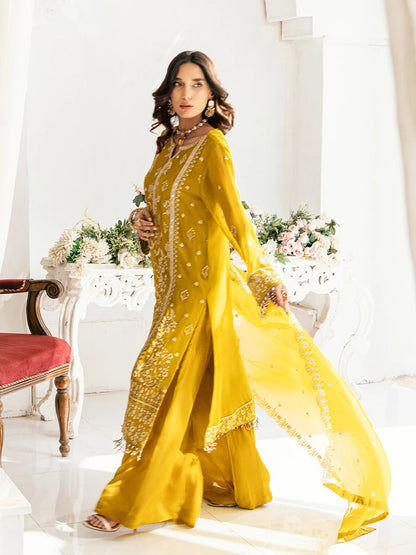 Salitex | Signature Festive Chiffon | SUNS7CH041UT