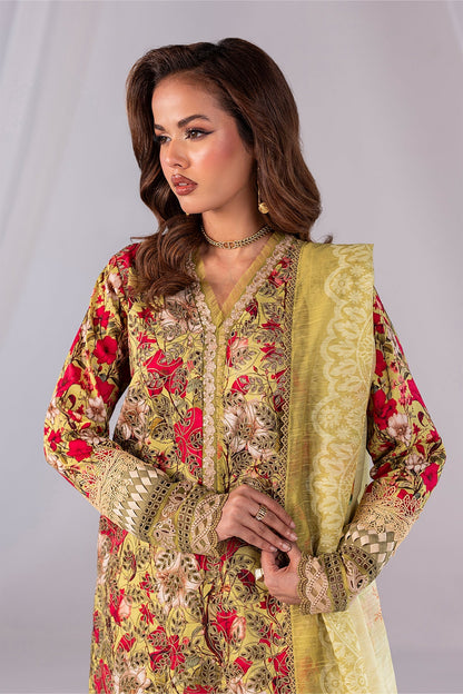 Imrozia Premium | Noor 25 | SP-67 TAABIR