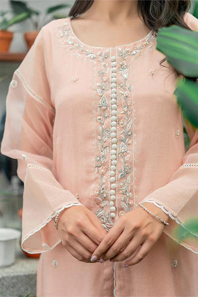 Jeem | Luxury Pret | STRIKING PEACH - House Of Anaya