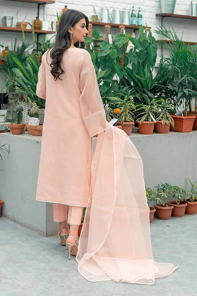 Jeem | Luxury Pret | STRIKING PEACH - House Of Anaya
