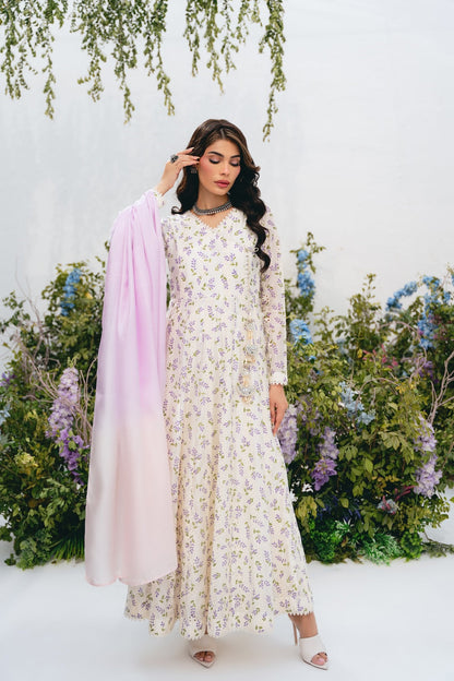 Vintage | Eid Edit 24 | Noor Anarkali - House Of Anaya