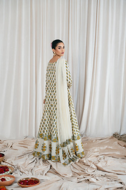 Vintage | Eid Edit 24 | Aarohi - House Of Anaya