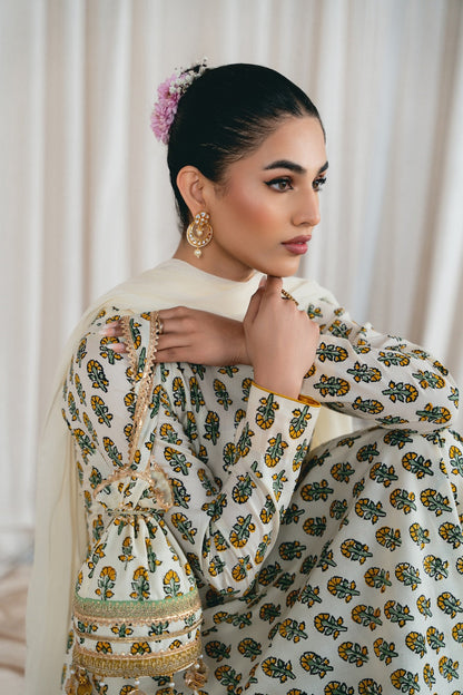 Vintage | Eid Edit 24 | Aarohi - House Of Anaya