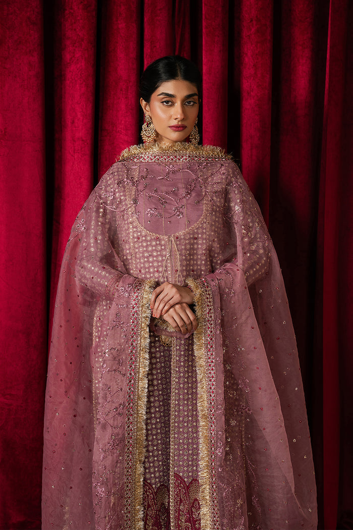 Ayzel Humnishin Mauve Panelled Anarkali Pakistani Designer Dresses
