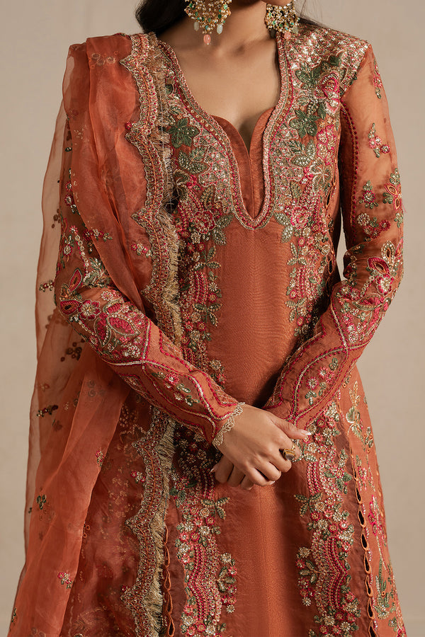 Ayzel Sahaara Rust V-Neck Silk Palazzo Pakistani Designer Dresses