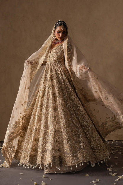 Afrozeh | The Brides 26 | Catarine