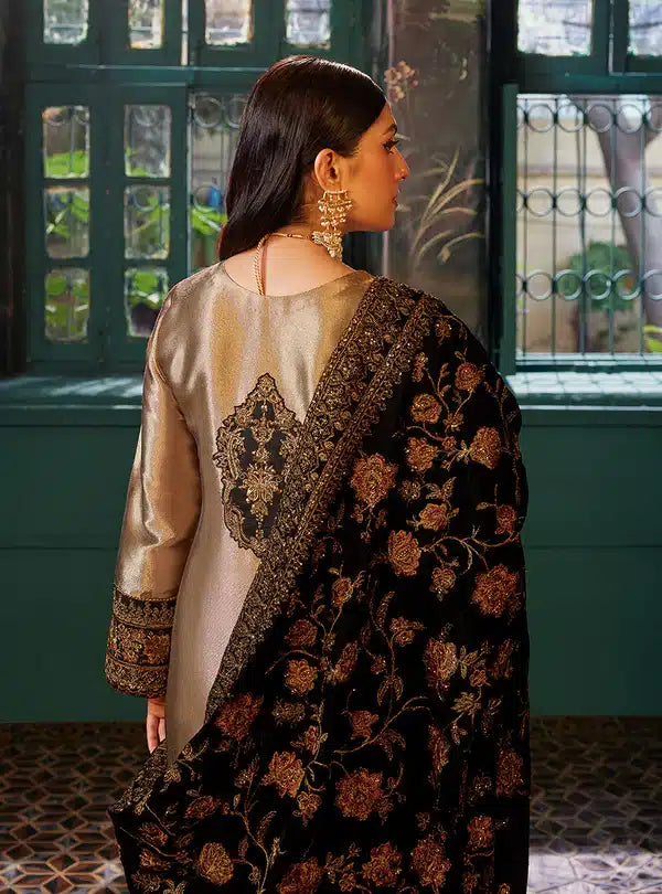 Zainab Chottani | Luxury Velvet Collection 23 | Maysa - House Of Anaya