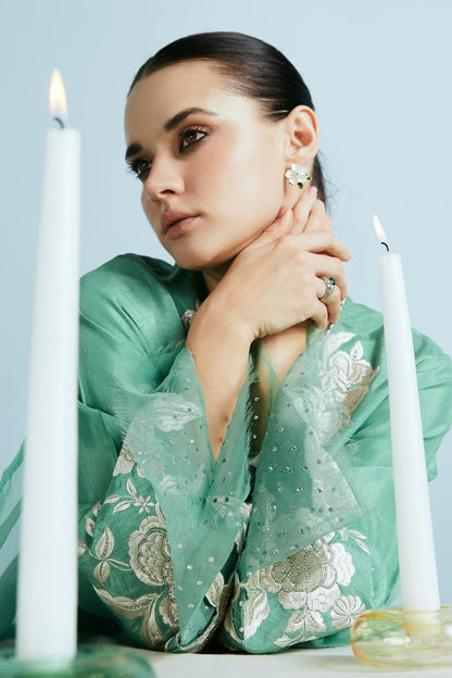 Zara Shahjahan | Festive Eid 24 | ZC-2038 - House Of Anaya