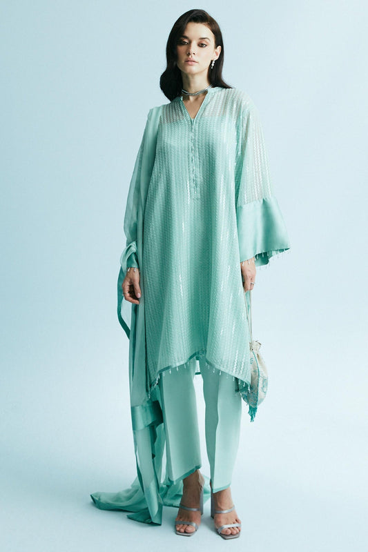 Zara Shahjahan | Festive Eid 24 | ZC-2043 - House Of Anaya