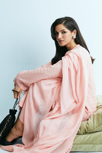 Zara Shahjahan | Festive Eid 24 | ZC-2044 - House Of Anaya