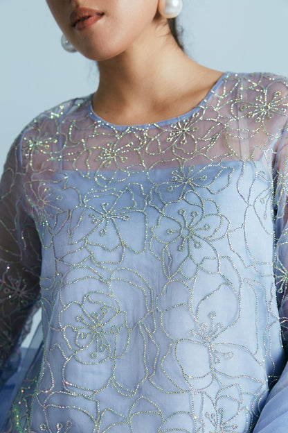 Zara Shahjahan | Festive Eid 24 | ZC-2045 - House Of Anaya