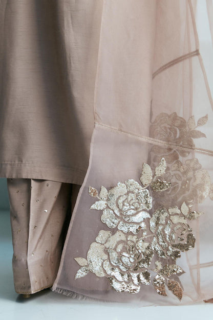 Zara Shahjahan | Festive Eid 24 | ZC-2026 - House Of Anaya