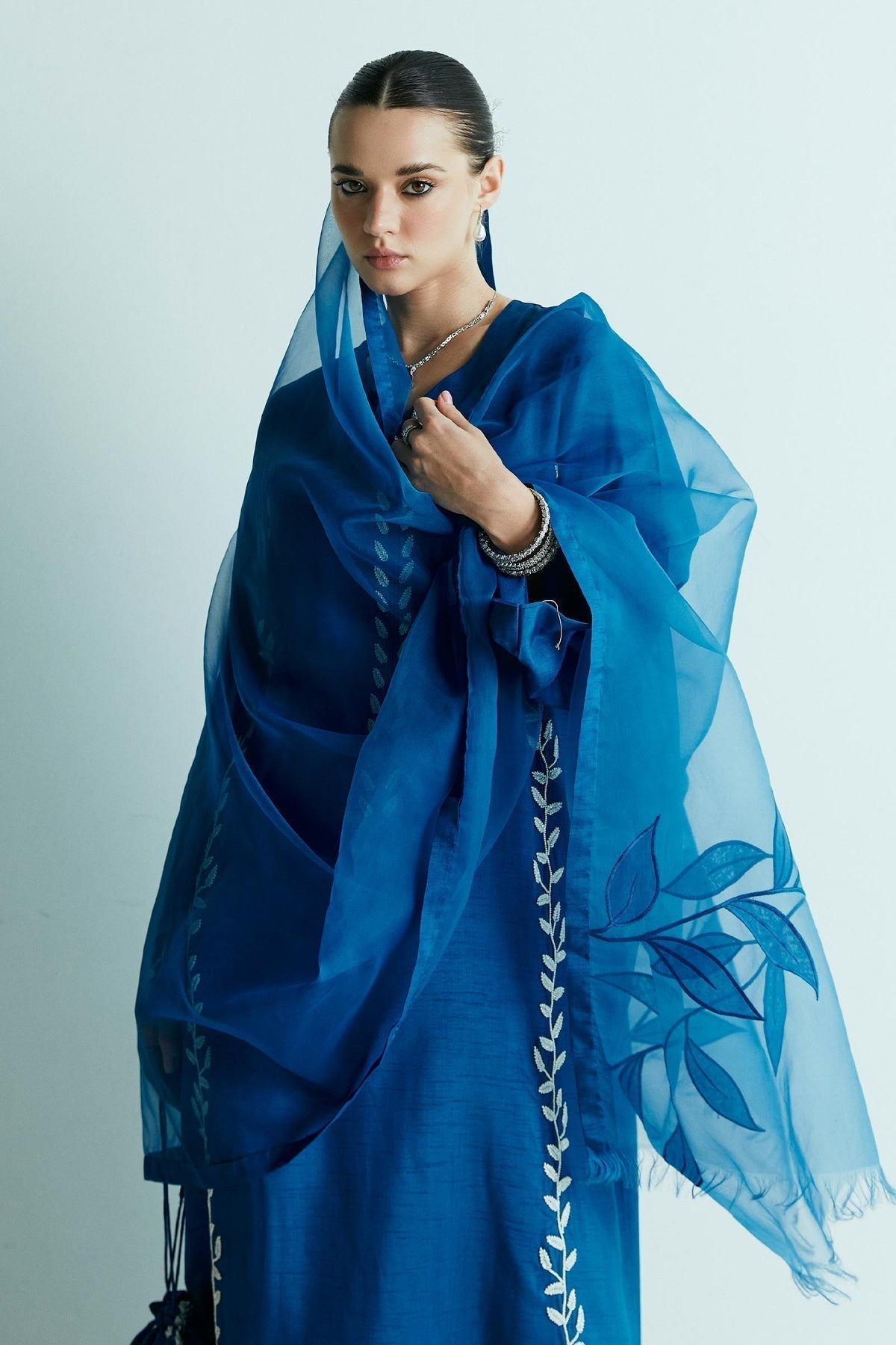 Zara Shahjahan | Festive Eid 24 | ZC-2028 - House Of Anaya