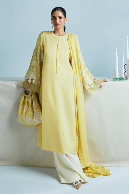 Zara Shahjahan | Festive Eid 24 | ZC-2033 - House Of Anaya