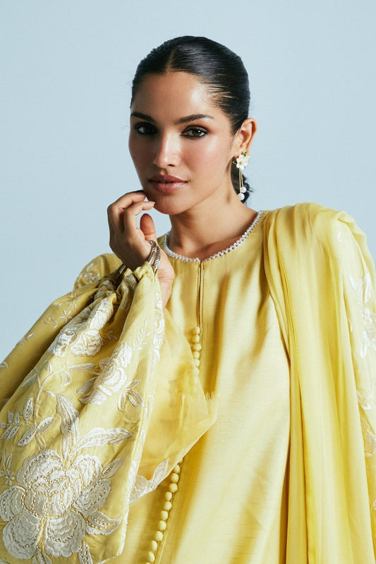 Zara Shahjahan | Festive Eid 24 | ZC-2033 - House Of Anaya