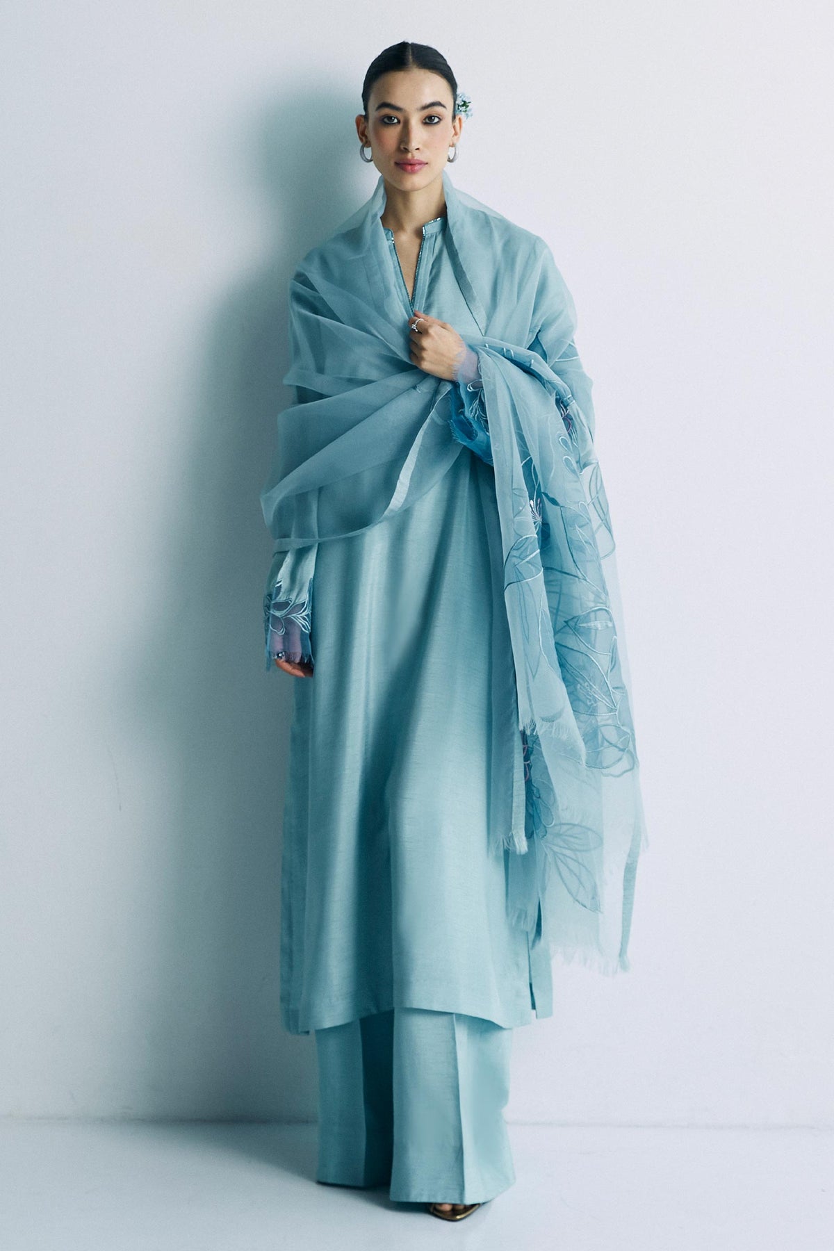 Zara Shahjahan | Festive Eid 24 | ZC-2036 - House Of Anaya