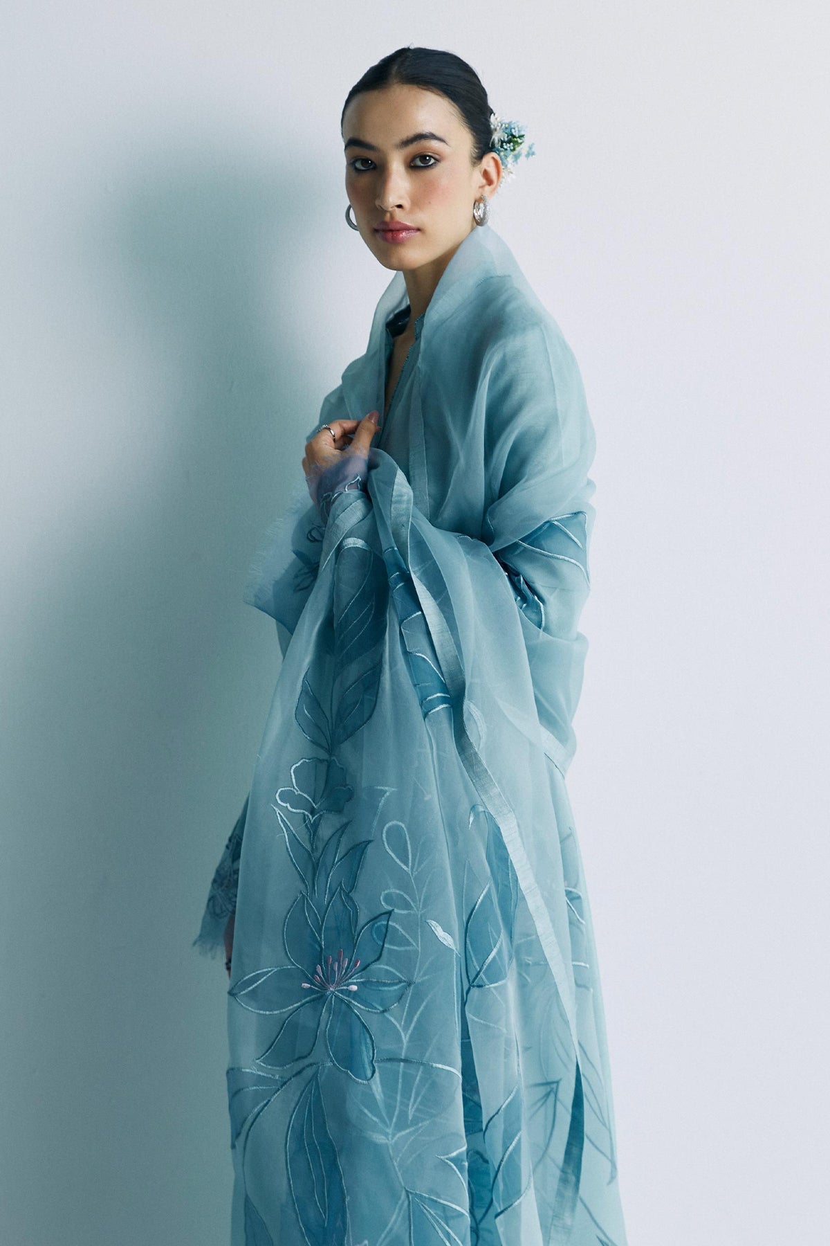 Zara Shahjahan | Festive Eid 24 | ZC-2036 - House Of Anaya