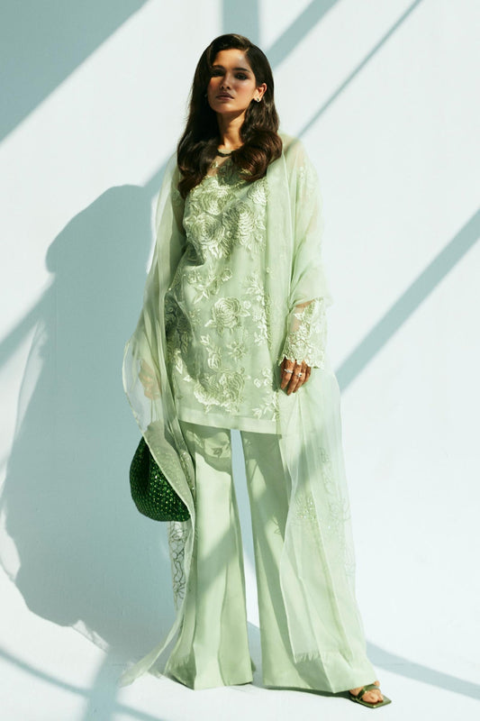 Zara Shahjahan | Festive Eid 24 | ZC-2037 - House Of Anaya